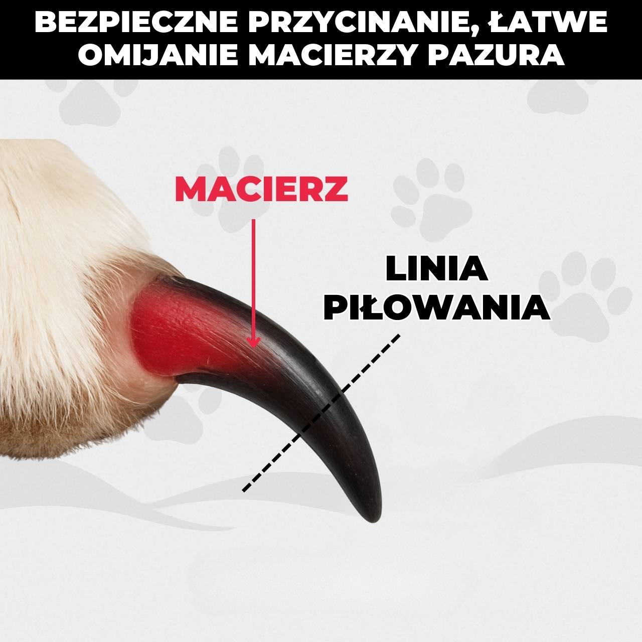ZenGrind - Elektryczny Pilnik do Pazurków dla Psów i Kotów
