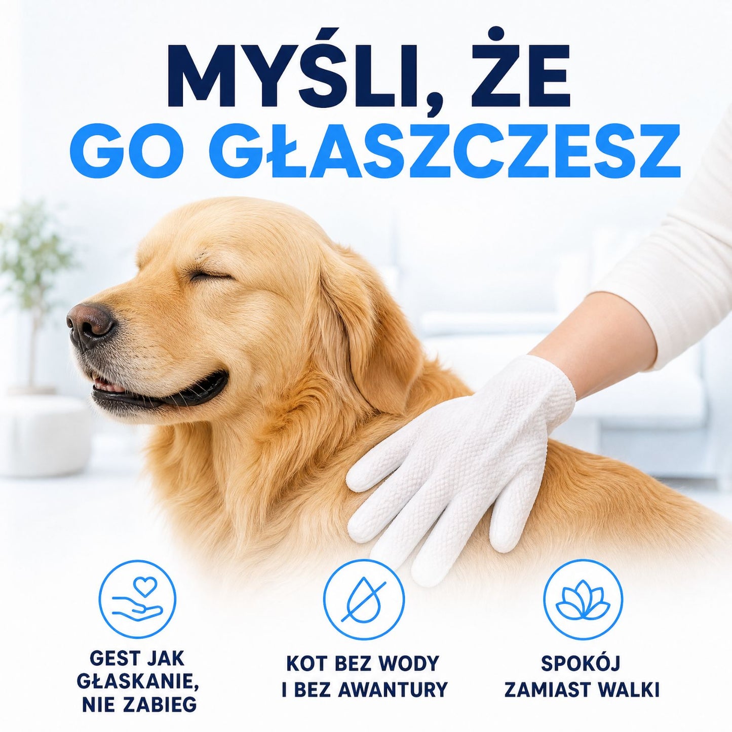 Rękawice do mycia psa i kota