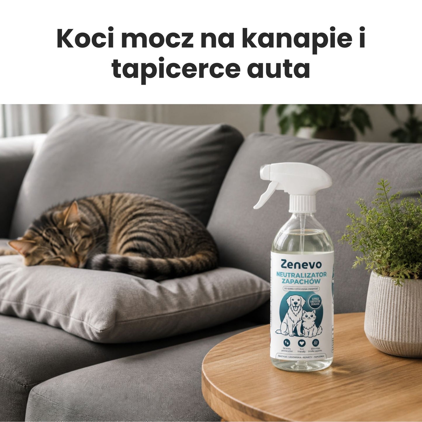 Neutralizator Zapachów Zenevo 500 ml