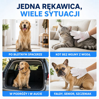 Rękawice do mycia psa i kota