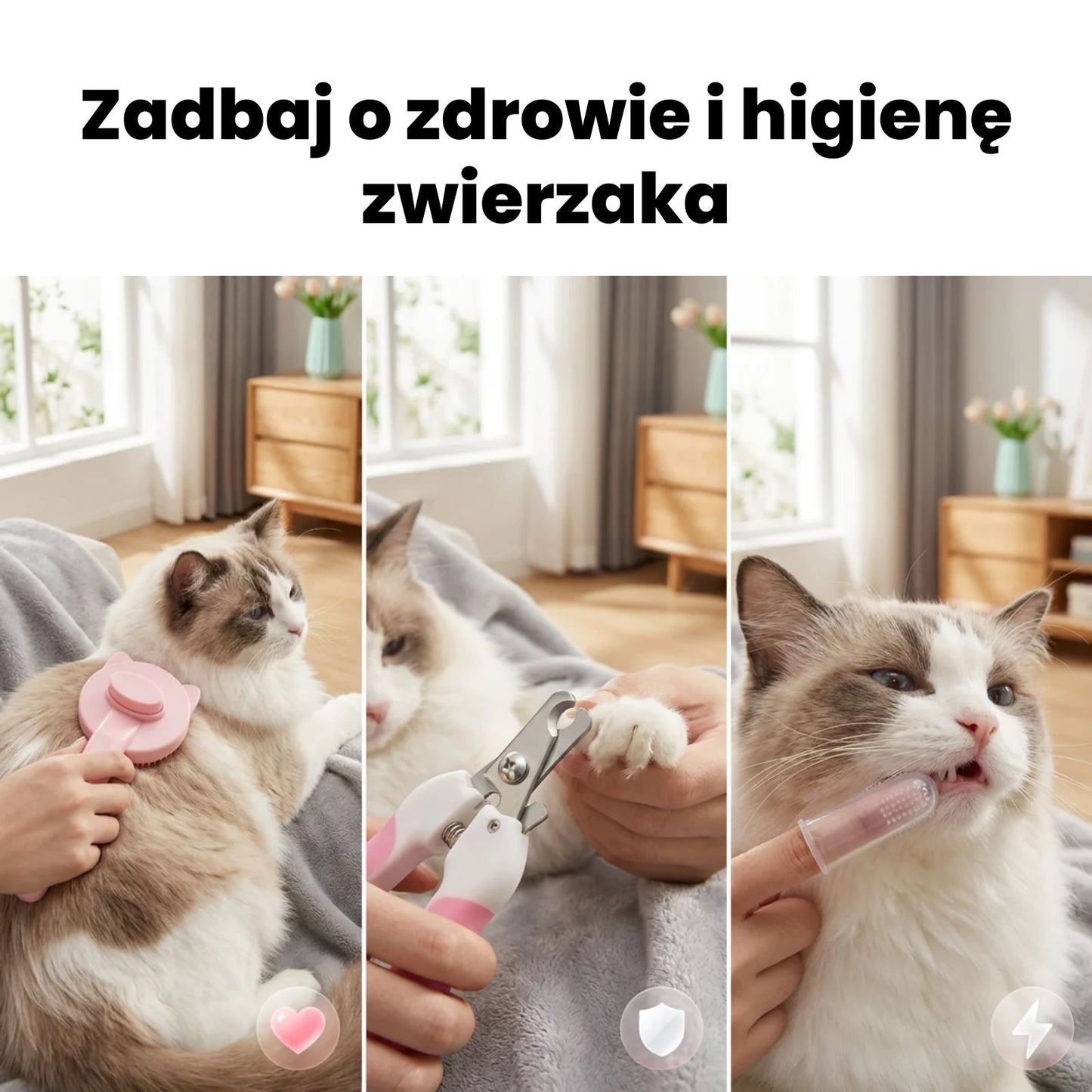 PetCarePro - Zestaw do pielęgnacji 7w1